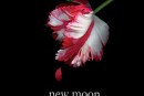 twilight-new-moon