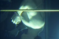 un-immagine-del-film-houdini-l-ultimo-mago-81976