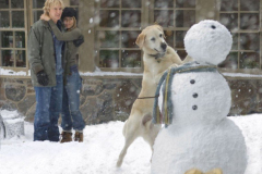 owen-wilson-e-jennifer-aniston-in-una-romantica-scena-del-film-io-marley-106789