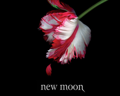 Twilight New Moon, ecco chi interpreta i licantropi  