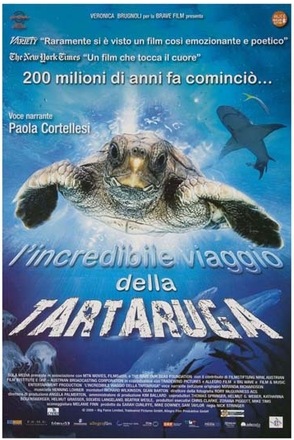 L'incredibile viaggio della tartaruga - trama, scheda, trailer  